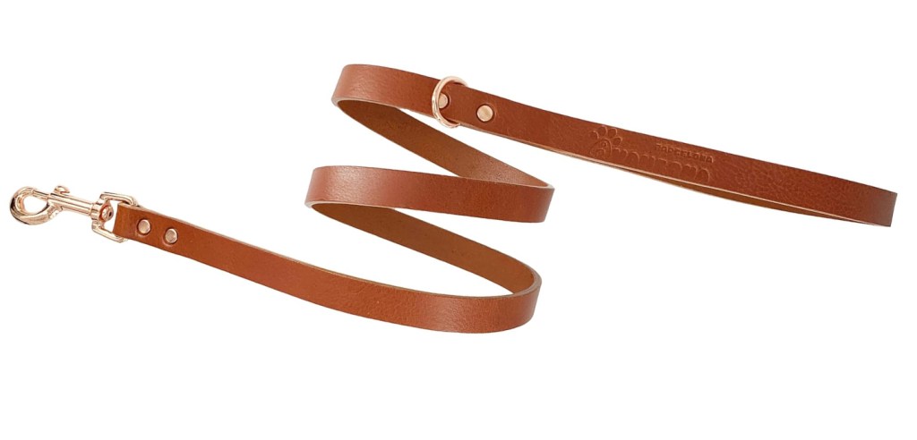 Cúal es la mejor correa para&nbsp;perros